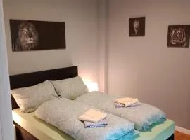 Flensburg Zentrum 50 05