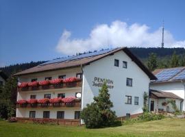 Pension Jodlbauer，Schöllnach的飯店
