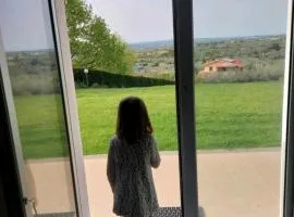 la staccionata bianca