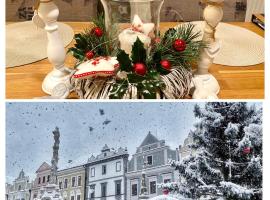 Dům u lázní Federer, Hotel am Strand in Třeboň