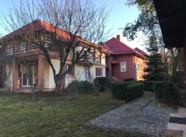 Casa Didy, hotel en Voineşti