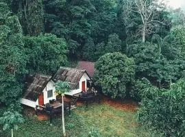 Jungle guest house
