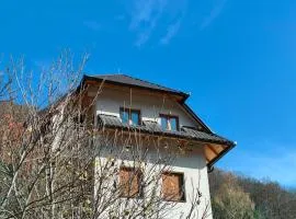 Apartmani Jelenača prizemlje
