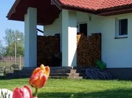 Wygodny Dom na Ponidziu z Basenem
