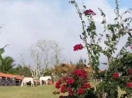 Flat Condomínio Hotel Fazenda Gravatá Monte Castelo