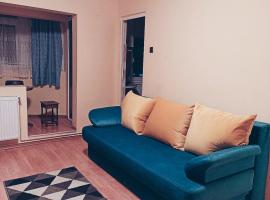 Apartament cu o cameră, pet-friendly hotel in Cluj-Napoca