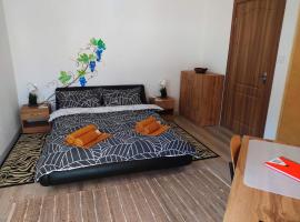 Дом за Гости Осогово, Hotel in Kjustendil