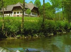 Hotel Restaurant Ochsenwirtshof, casa de hóspedes em Bad Rippoldsau-Schapbach