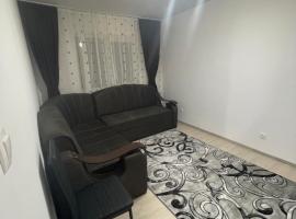 Apartament 2 camere, hotel with parking in Petroşani