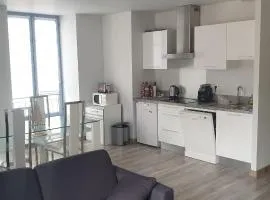 Appartement T2 45 m² en centre-ville