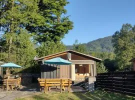 Cabañas Roka Caburgua
