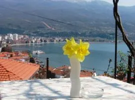 Apartments Villa Saray