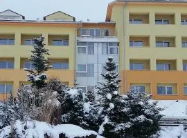 Lipno Wellness - Frymburk C 401