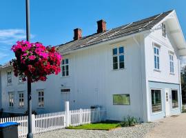 Apotekbygget, hotel near Panoramaheisen, Nesbyen