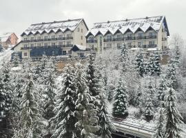 Zaporizʹka Sich, romantický hotel v destinaci Bukovel