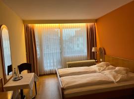 Hotel Schwan, hotel v destinaci Hügelsheim