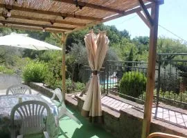 Fattoria Cristina - Mono