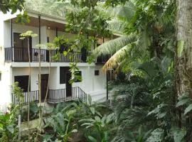 Riverside Apartments - Walk to the Beach in Santa Teresa! Newly Renovated!