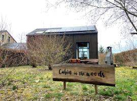 Cabin in the woods, cabin in Houffalize