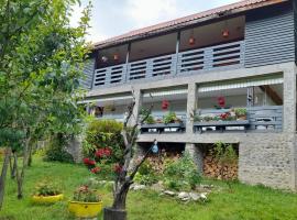 Pensiunea Poiana Soarelui, guest house in Ciungetu