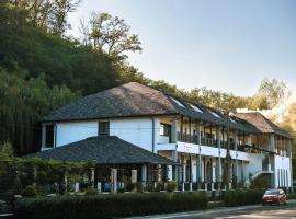 Hanul cu Sălcii, hotel in Călimăneşti