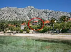 Apartments by the sea Orebic, Peljesac - 10436