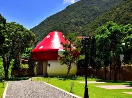 Mushroom Forest Guesthouse Camping Site