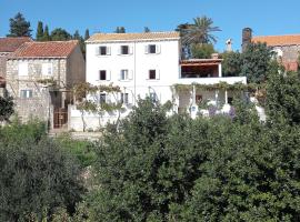 Charming island apartment garden,70m from sandy beach and restaurant, free WI-FI, Hotel in Koločep