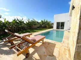Manami Villa with Private Pool ZanzibarHouses