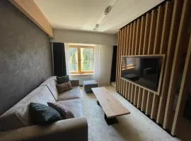 Woodside apartments Kopaonik free parking
