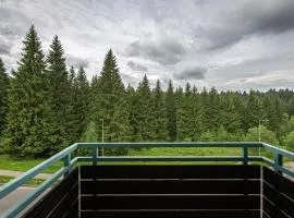 Cold Mountain Apartment in Silver Mountain Resort