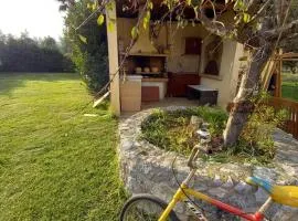 Phaedra Electra Estate