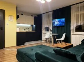 Komfortowy Apartament w centrum