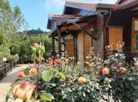 Kapilio Cottage House