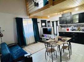 Reny's Studio Apartments -Hiperbara, alojamento com cozinha em Livezeni