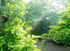Forest Villa Nature Resort