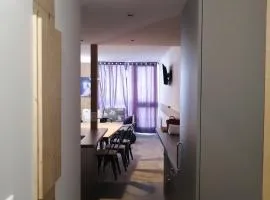 Appartement rénové proche centre, 2 cabines, balcon, WIFI gratuit - FR-1-346-539