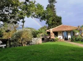 Finca Verde Vivo