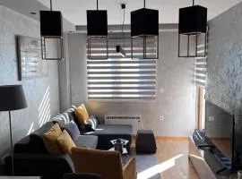 NS IN apartman Zlatibor