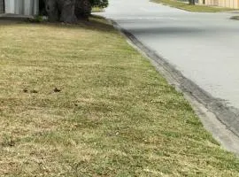 15 on 11th Summerstrand