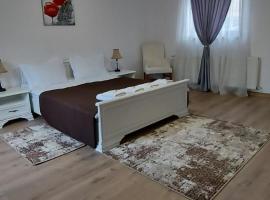 Casa La Rotarelu, hotel in Sălişte