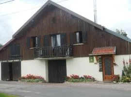 Gîte nature, 15 km de Gérardmer, randonnée, ski, jardin, terrasse, BBQ, équipements bébé inclus - FR-1-589-64