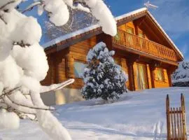 Chalet confortable à Cleurie avec WIFI, cheminée et terrasse - FR-1-589-71