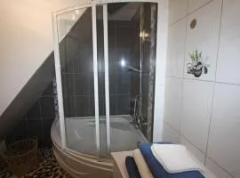 Gîte chaleureux avec terrasse, proche sentiers de randonnée, équipements inclus, à 30min de Saint-Dié - FR-1-589-381