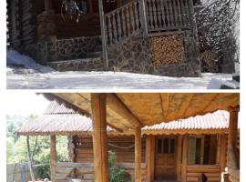 "Бджілка" і " Садиба для відпочинку", cottage in Lyuta