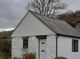 Y Llew Bach, the tiny house