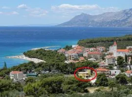 Family friendly apartments with a swimming pool Promajna, Makarska - 6849