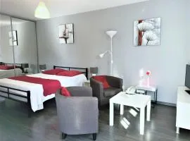 T1 moderne et lumineux avec terrasse et parking ! - FR-1-555-70