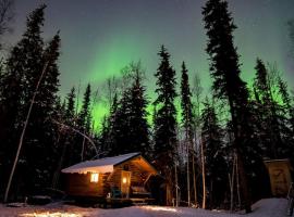 Studio Log Cabin With Aurora Views, hotel di Fairbanks