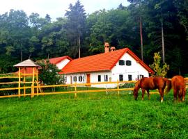 Turistična kmetija Hiša ob gozdu pri Ptuju – domek wiejski w Ptuju